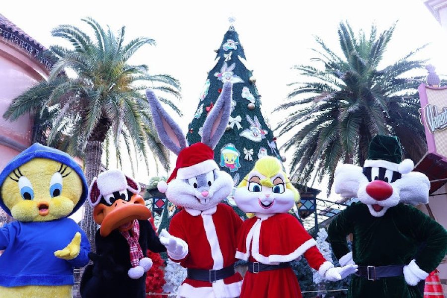 VIVE LA NAVIDAD EN PARQUE WARNER MADRID